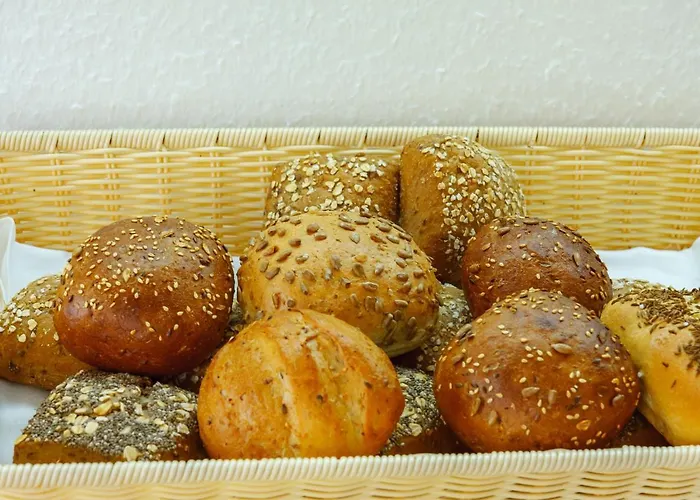 德绍鲁格拉潘森酒店 酒店